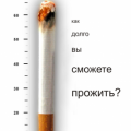 Профилактика табакокурения среди детей и подростков. Что тебе нужно делать, чтобы не закурить?