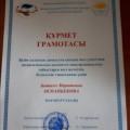 Honorary diploma