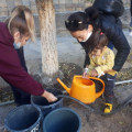 Secondary School No. 10 of the city of Balkhash is completing the autumn eco-challenge of the Republican ecological actions on planting trees 