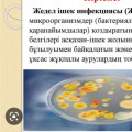 Острые кишечные инфекции (ОКИ)