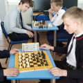 Шахматы – популярная игра для детей и взрослых, развивающая внимательность, интеллект, логическое мышление.