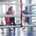  Information about results of the opened boxing tournament among youth 
