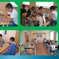 Шахматный клуб «Белая ладья»