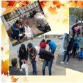 Information about the local work day  on 10 th of October  at  secondary school №8