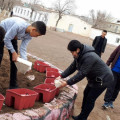 Young environmentalists, landscape designers of the boarding school № 2 are experimenting flowerbeds under a tree... 