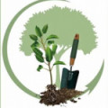 Акция по посадке деревьев «ЭКО CITY» прошла 17 октября в городе Балхаш под девизом «Озеленение окружающей среды - общее благое дело»...