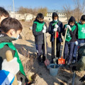 Planting trees within the Taza Tabigat project