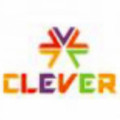 VI областная олимпиада “CLEVER -2021”