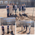 Учитель биологии Зарина Сериковна и ученики школы посадили семена разных деревьев.