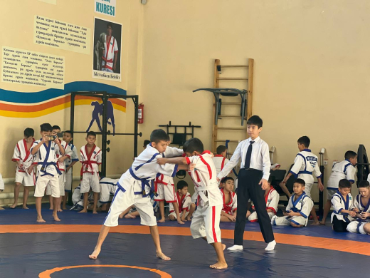 «Қазақ күрес»