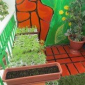 Мектеп күні - 2013