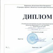 Айғали Дамир