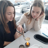 Осенние каникулы