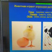 Летняя школа