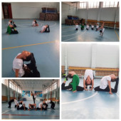 Акробатический вид